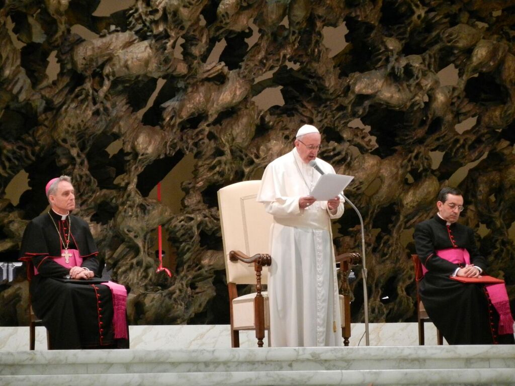 Eine Audienz beim Papst. – Bild: zvg/Viktor Kitanov