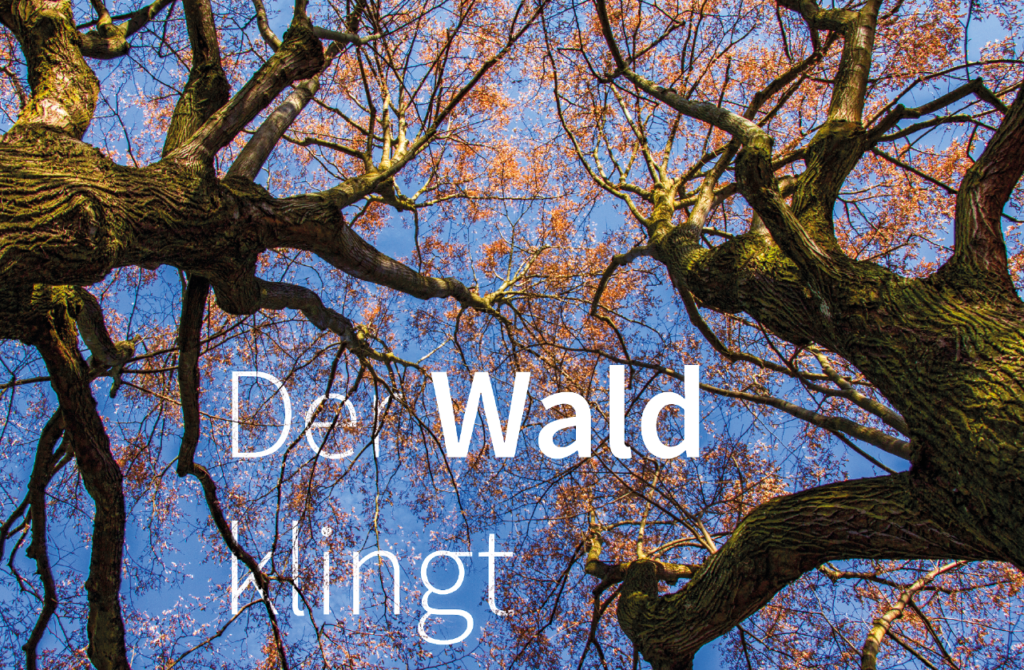 Bildschirmfoto 2017-04-20 um 14.54.06